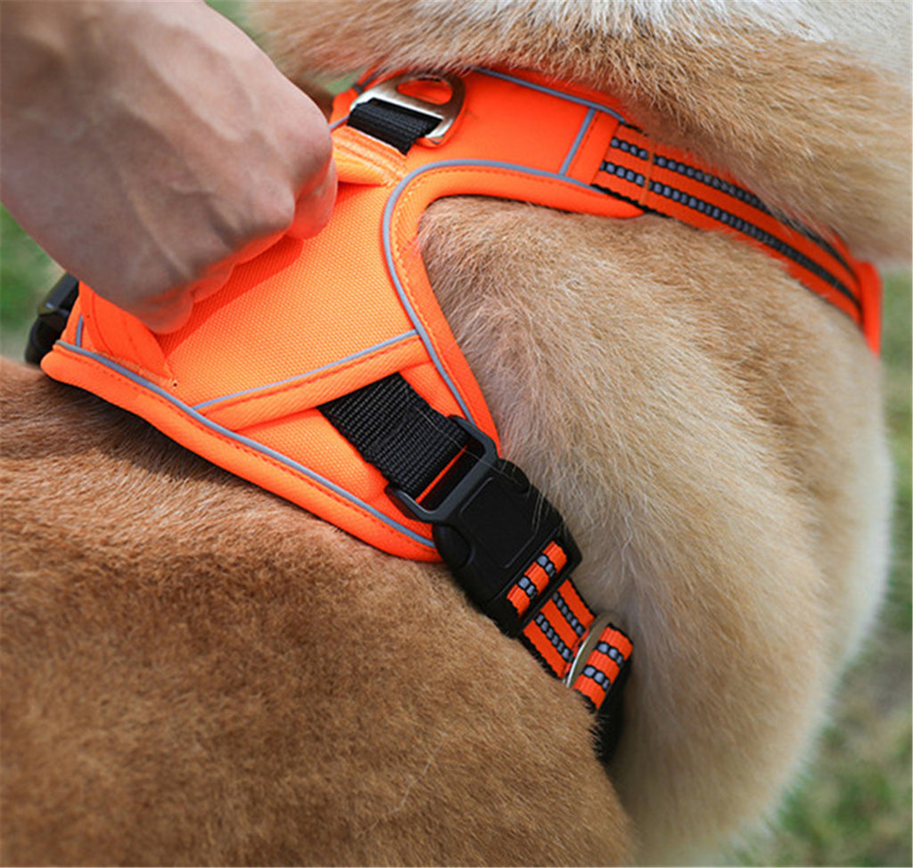 Durable Waterproof Oxford Pet Harness with Vertical Handle